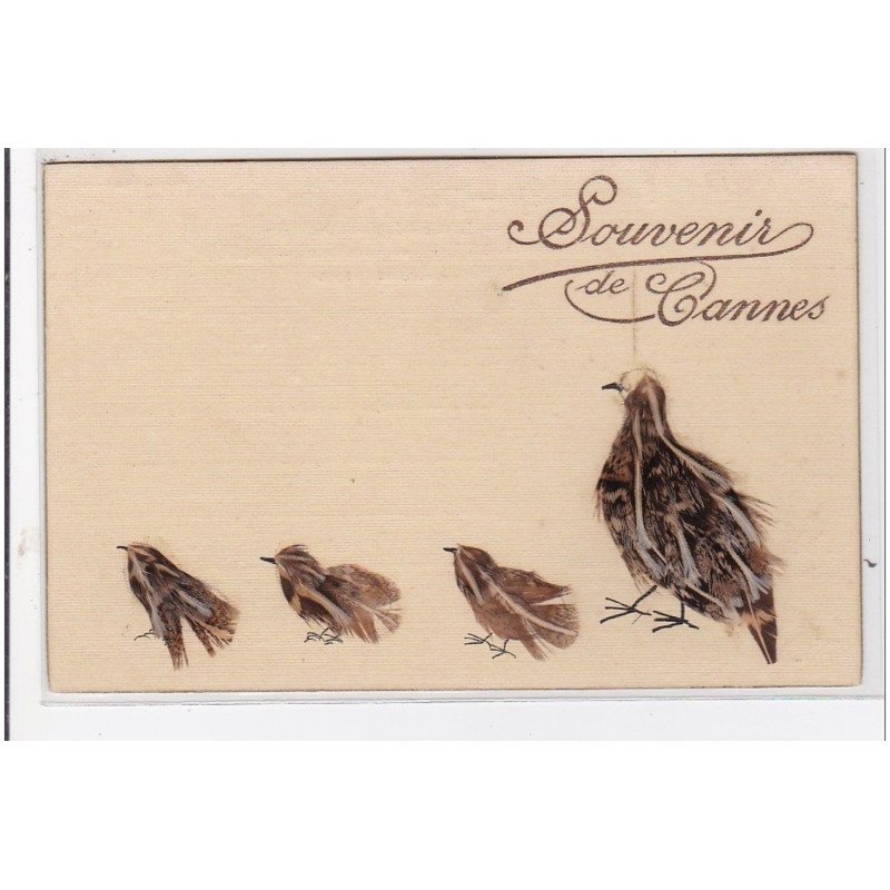 CANNES : souvenir de cannes (petits oiseaux en vrai plumes) - très bon état CANNES : souvenir de cannes (petits oiseaux en vrai plumes) - très bon état