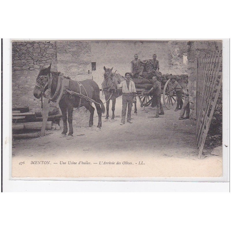 MENTON : une usine d'huiles, l'arrivée des olives - très bon état