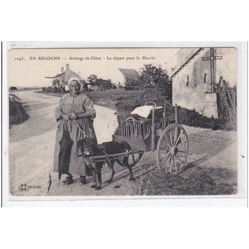 EN SOLOGNE : attelage de chien, le départ pour le marché - état