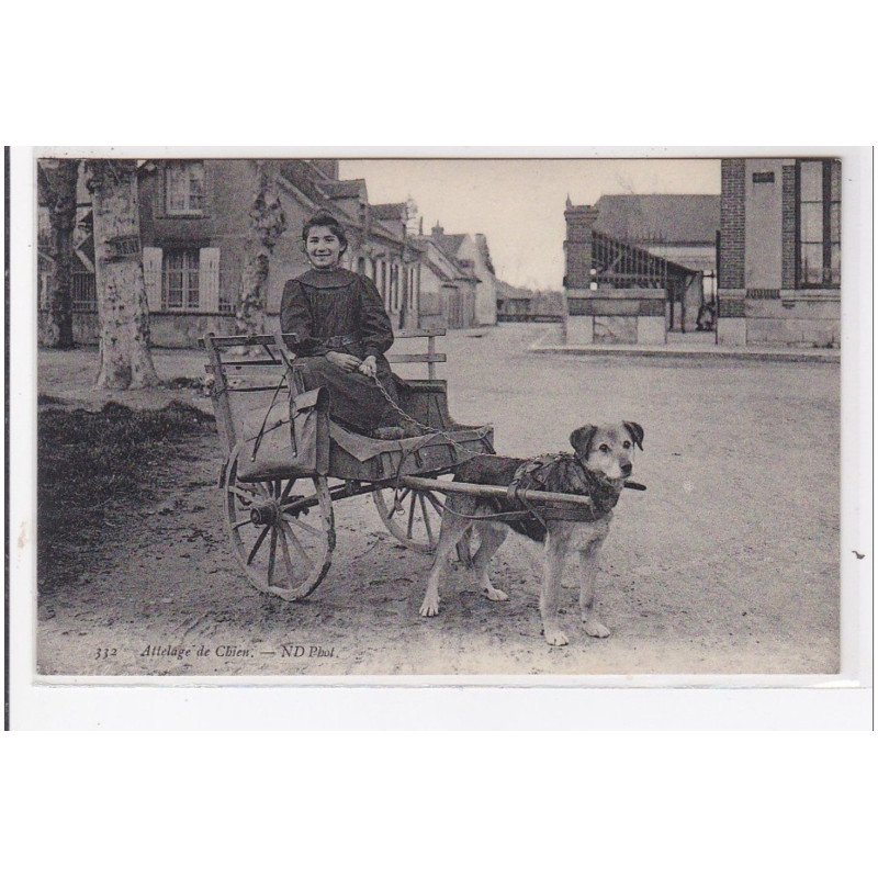 LORRIS : attelage de chien - très bon état