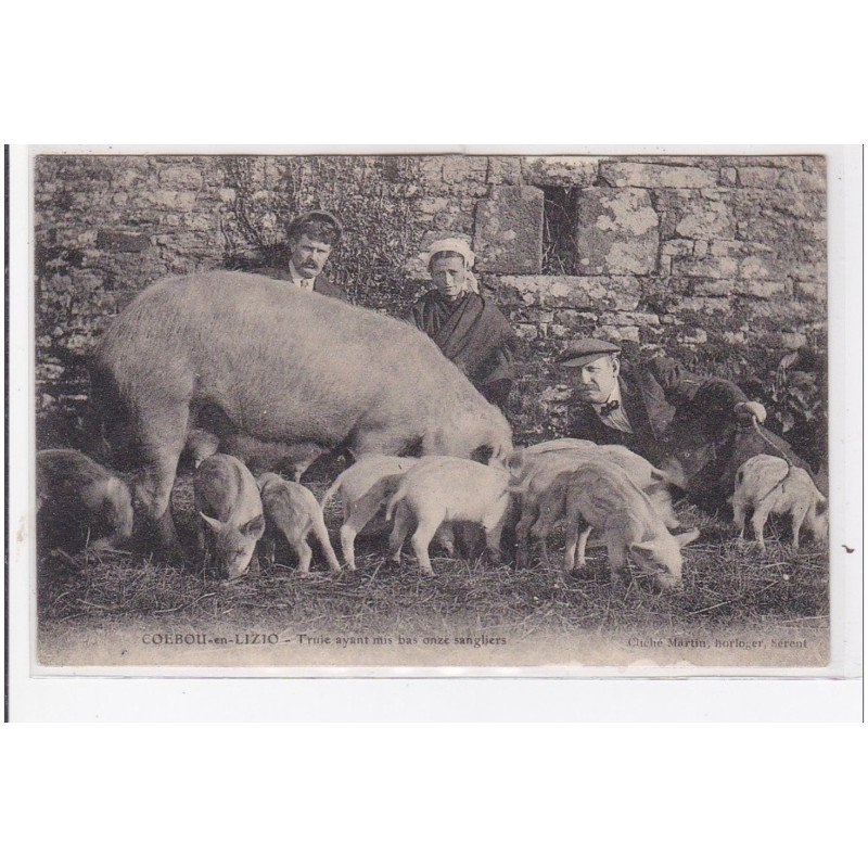 COEBOU-en-LIZIO : truie ayant mis bas onze sangliers - état (partiellement décollée)
