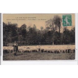 St-JUST-en-CHAUSSEE : ferme pion, les moutons, la vie aux champs - très bon état