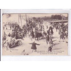 AIGUES-MORTES: arrivée d'une course de taureaux conduite par les gardians, descente du pont rouge - très bon état