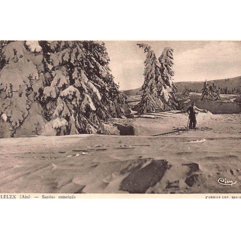 LELEX : sapins enneigés - tres bon etat