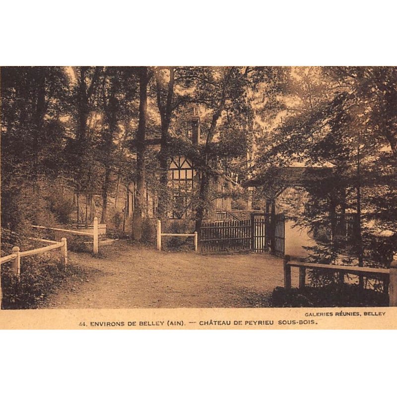 env. BELLEY :  chateau de peyrieu, sous-bois - etat