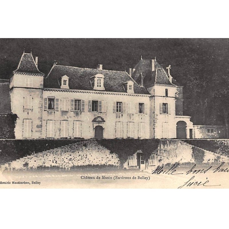 env. BELLEY : chateau de musin - tres bon etat