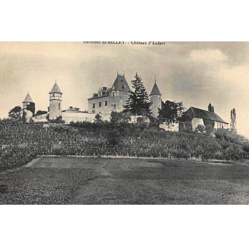 env. BELLEY : chateau d'andert - tres bon etat