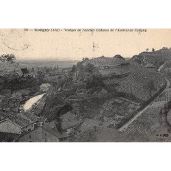 COLIGNY : vestiges de l'ancien chateau de l'amiral de coligny - etat