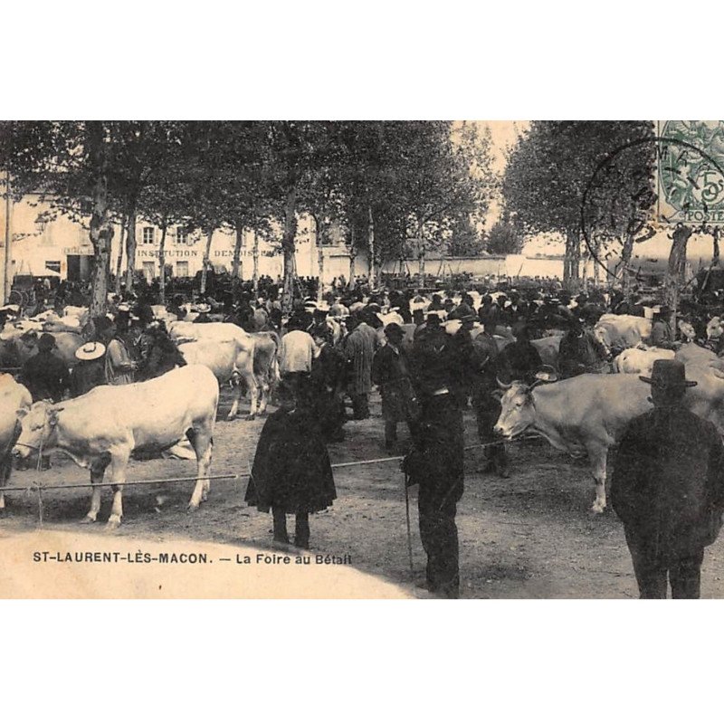 SAINT-LAURENT-LES-MACON : la foire au betail - tres bon etat