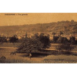 JAULGONNE : vue generale - tres bon etat