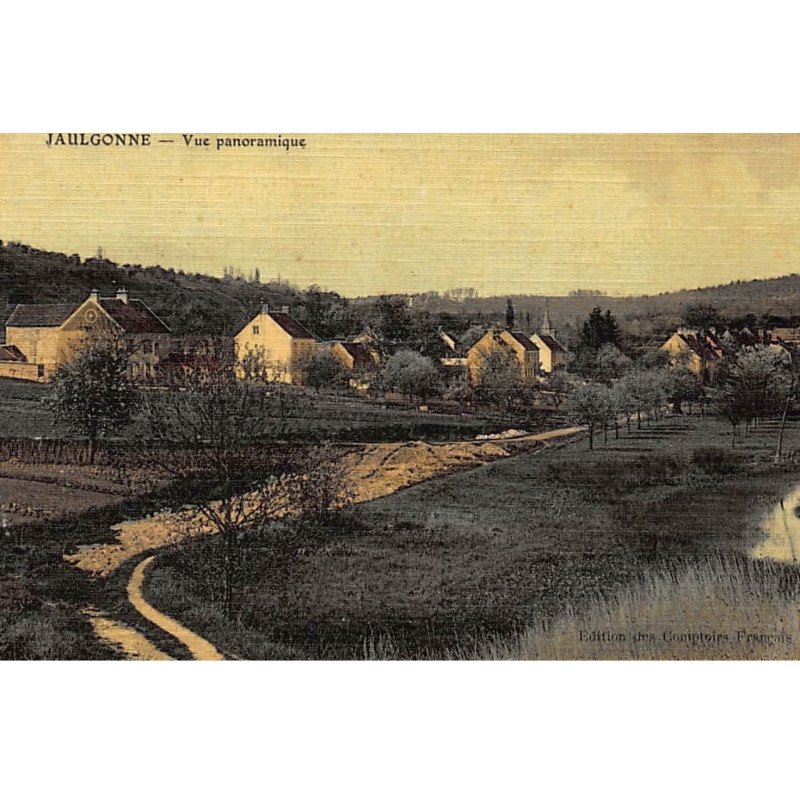 JAULGONNE : vue panoramique - tres bon etat