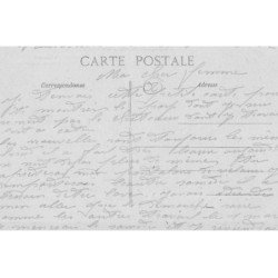 VAUXBUIN : le chateau (facade sud) - tres bon etat