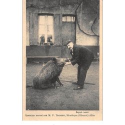 MONTLUCON : sangler dressé par M.P. Tronget - tres bon etat