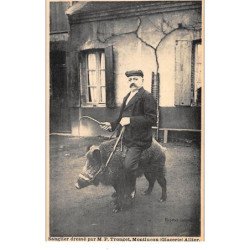 MONTLUCON : sangler dressé par M.P. Tronget - tres bon etat