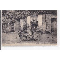 THENAY : messagerie Thenaysienne (voiture à chien) (édition rare) - très bon état