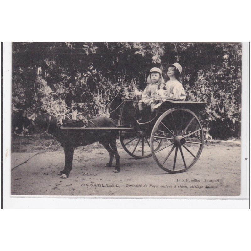 BOURGUEIL : curiosité du pays voiture à chien attelage de luxe - tres bon etat