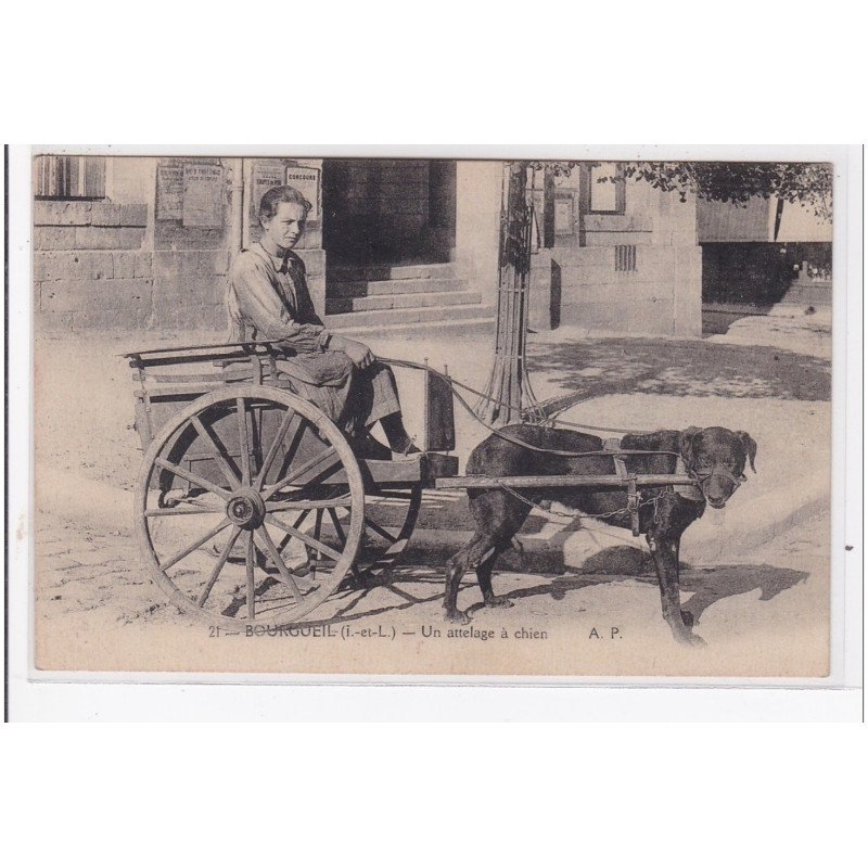 BOURGEUIL : voiture à chien, attelage à chien - tres bon etat