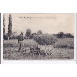 EN SOLOGNE : voiture à chien, la rentrée des foins - etat