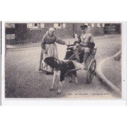 EN SOLOGNE : attelage de chien, voiture à chien - tres bon etat