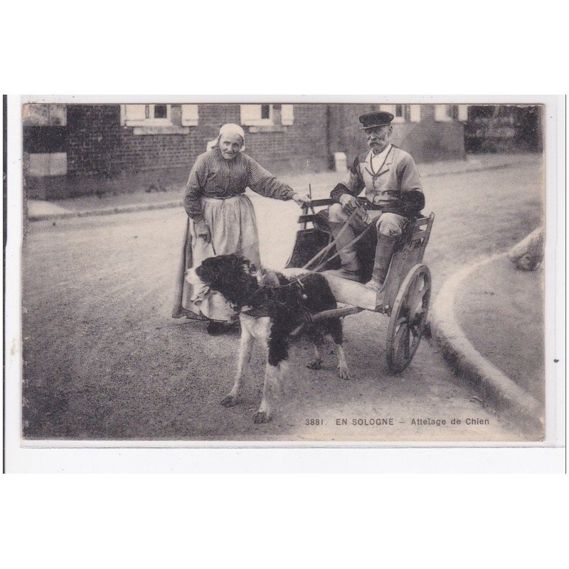 EN SOLOGNE : attelage de chien, voiture à chien - tres bon etat