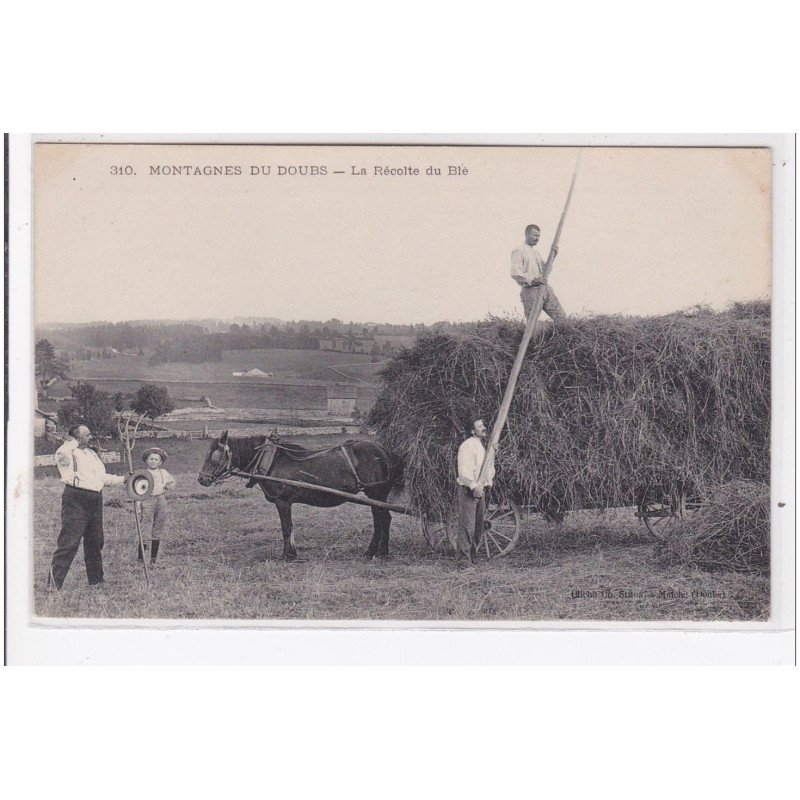 MONTAGNES-du-DOUBS : la recolte du blé - tres bon etat