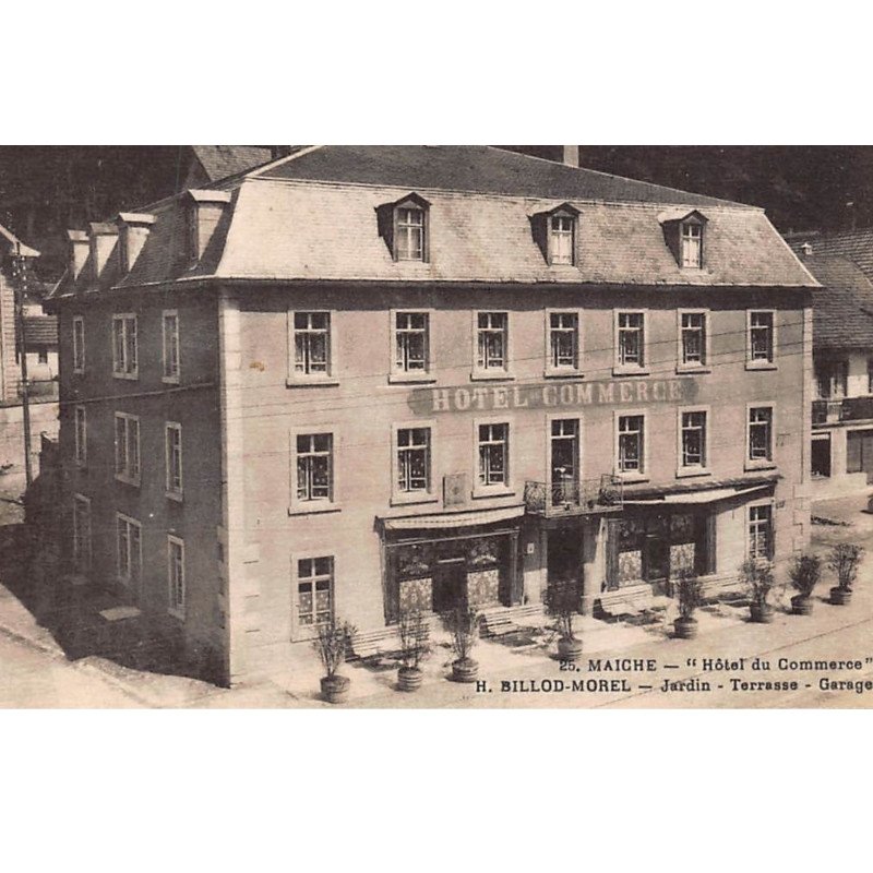 MAICHE : """"hotel du commerce"""" H. Billod-morel, jardin, terrasse, garage - tres bon etat
