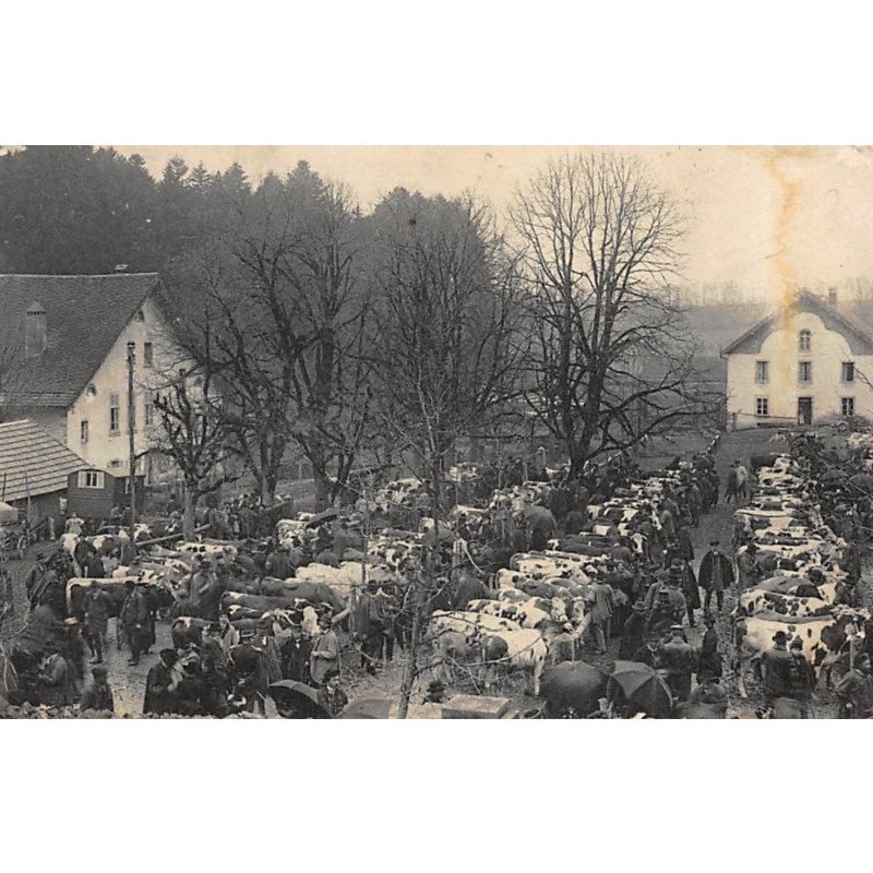 MAICHE : marché de boeufs - etat