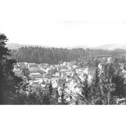 MAICHE : dans les sapins - tres bon etat