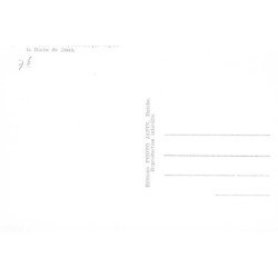 MAICHE : vue panoramique depuis la roche de ruan - tres bon etat