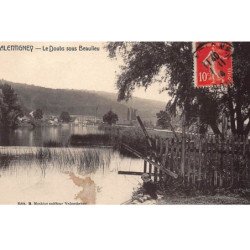 VALENTIGNEY : le doubs sous beaulieu - etat