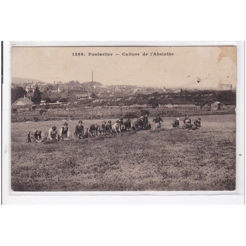 PONTARLIER : culture de l'absinthe - état