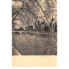 Albert MONIER : paris les quais au printemps - tres bon etat