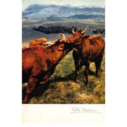 Albert MONIER : dans les monts-dore, vaches - tres bon etat