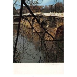 Albert MONIER : paris le pont-neuf - tres bon etat