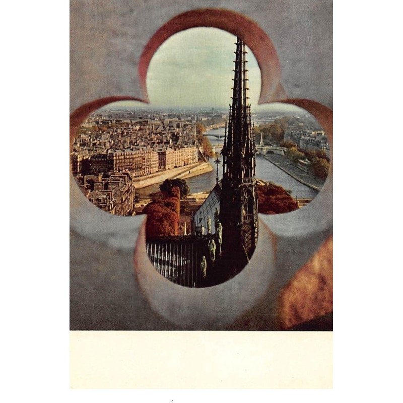 Albert MONIER : paris vu des tours de notre-dame - tres bon etat