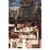 Albert MONIER : paris les boites a  bouquins et notre-dame - tres bon etat