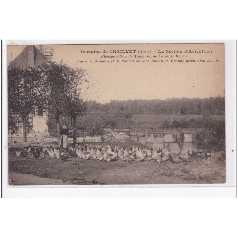 CHAILVET : domaine de chailvet, elevage d'oies de toulouse, de canards rouen - tres bon etat
