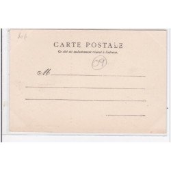 USTOU : eleveurs d'ours des pyrénées, vue d'ustou - tres bon etat