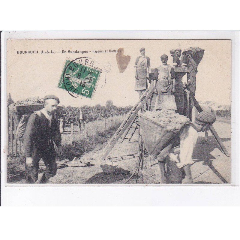 BOURGUEIL: râpeurs et holteurs, vendanges - état