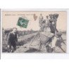 BOURGUEIL: râpeurs et holteurs, vendanges - état