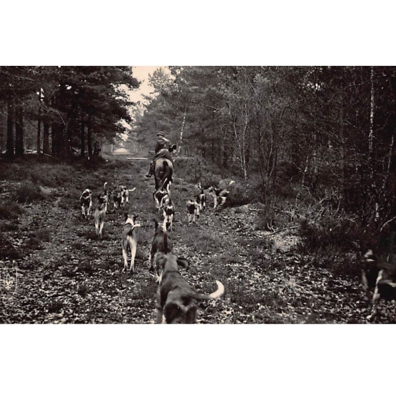 TRONCAIS : foret de troncais, chasse a courre - tres bon etat