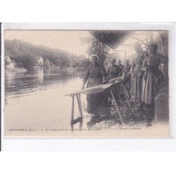 ARTANNES: un riant point de vue des bords de l'indre - très bon état