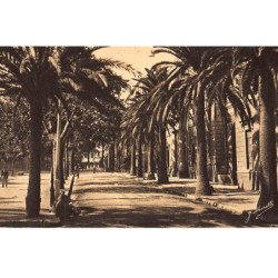 AJACCIO : avenue du premier consul - tes bon etat