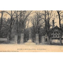 ROUVRES-sur-AUBE : entrée du chateau - etat