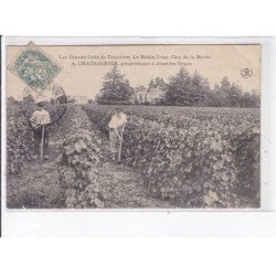 JOUE-les-TOURS: les grands crûs de touraine, le noble joué, A. Chataignier - état