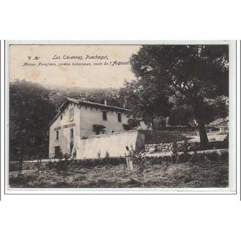 LES CEVENNES : PUECHAGUT : maison forestière, jardins botaniques, route de l'Argoual - très bon état