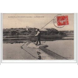 De Saillé au Pouliguen : la récolte de sel - très bon état