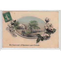 OUZOUER SUR TREZEE - très bon état