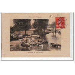 ENVIRONS DE MONTARGIS - Abreuvoir au bord du Loing - très bon état