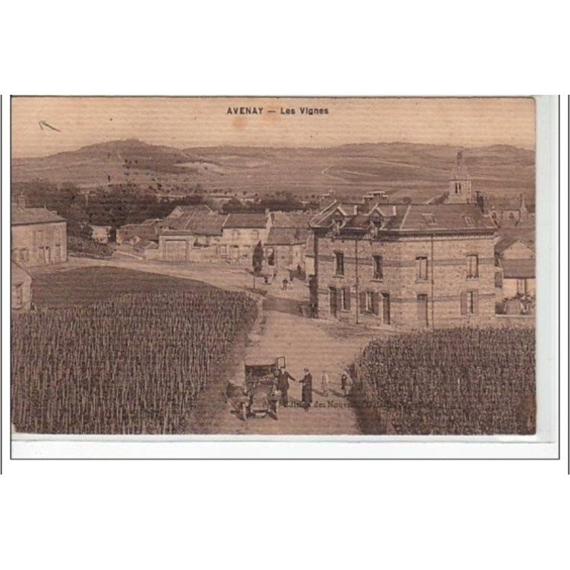 AVENAY - Les vignes  - état